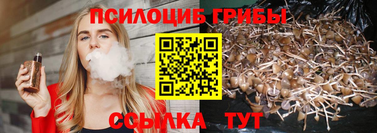 Галлюциногенные грибы Cubensis Азнакаево
